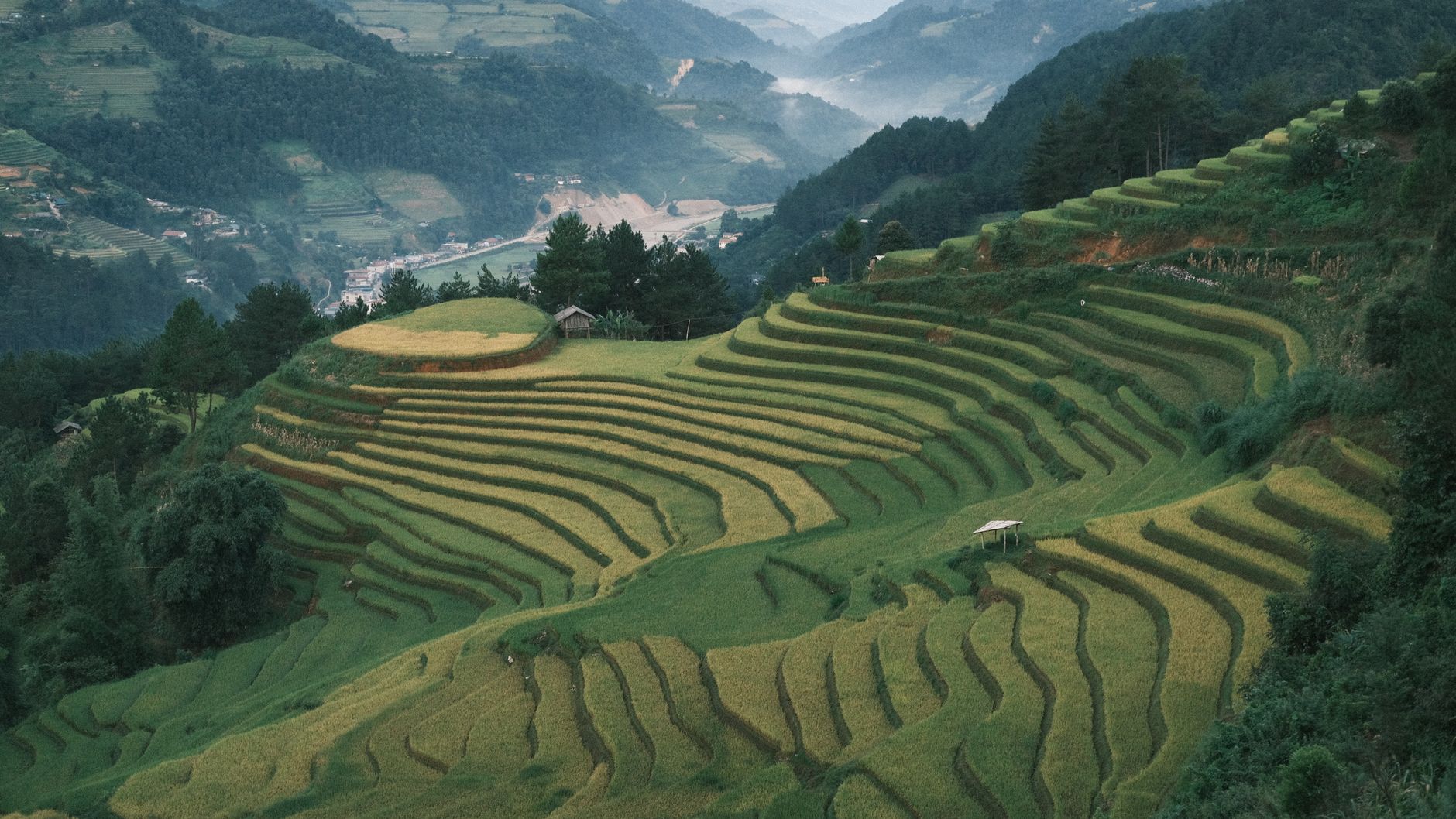 能登の棚田風景