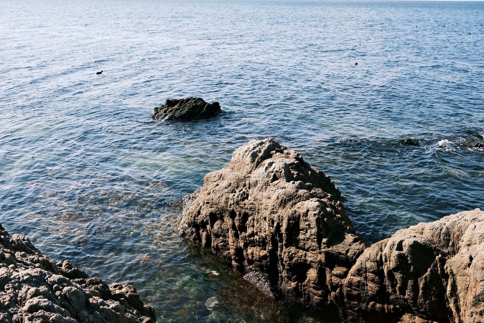 能登の海